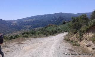 cche del Crasto-04-07-2016 19-24-57